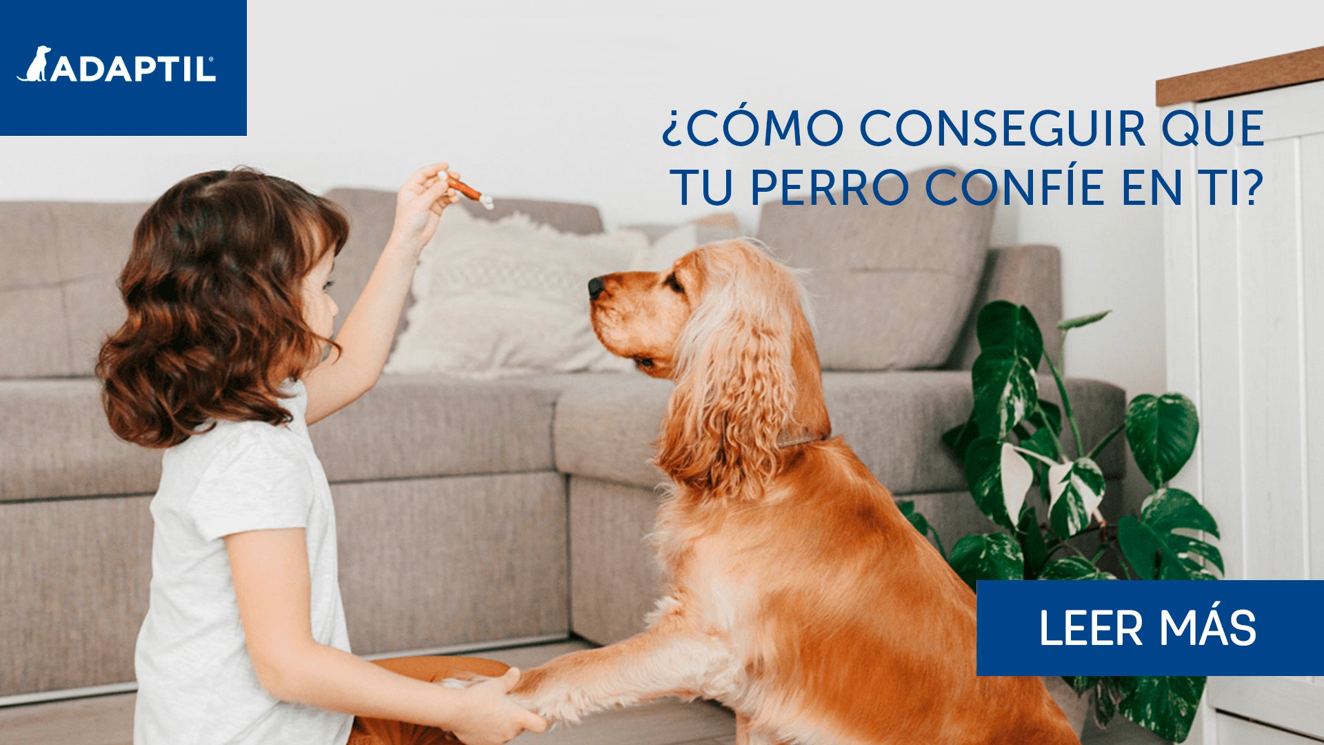 Cómo conseguir que tu perro confíe en ti | Blog ADAPTIL