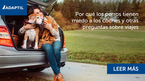 Una mujer y su perro se sientan en la parte trasera del coche con el maletero abierto, disfrutando de un momento juntos.