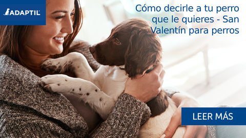 Cómo decirle a tu perro que le quieres - San Valentín para perros