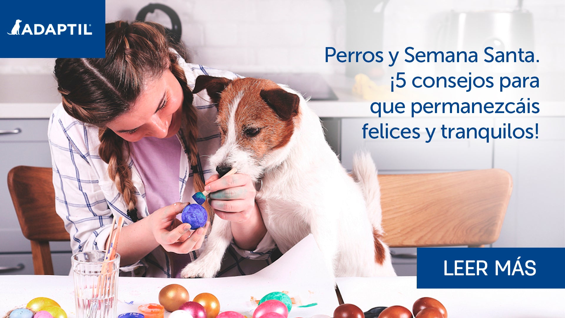 Perros y Semana Santa: 5 consejos para pasar un momento seguro y feliz