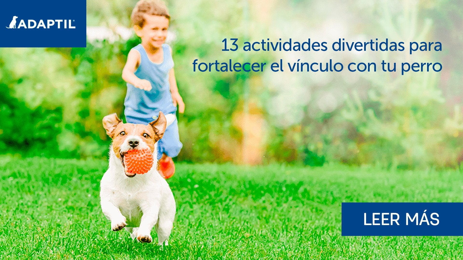 13 actividades divertidas para perros para fortalecer vuestro vínculo