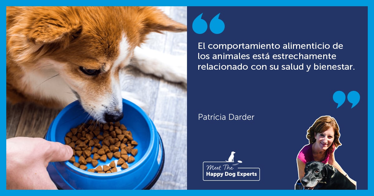 Comportamiento alimenticio en perros