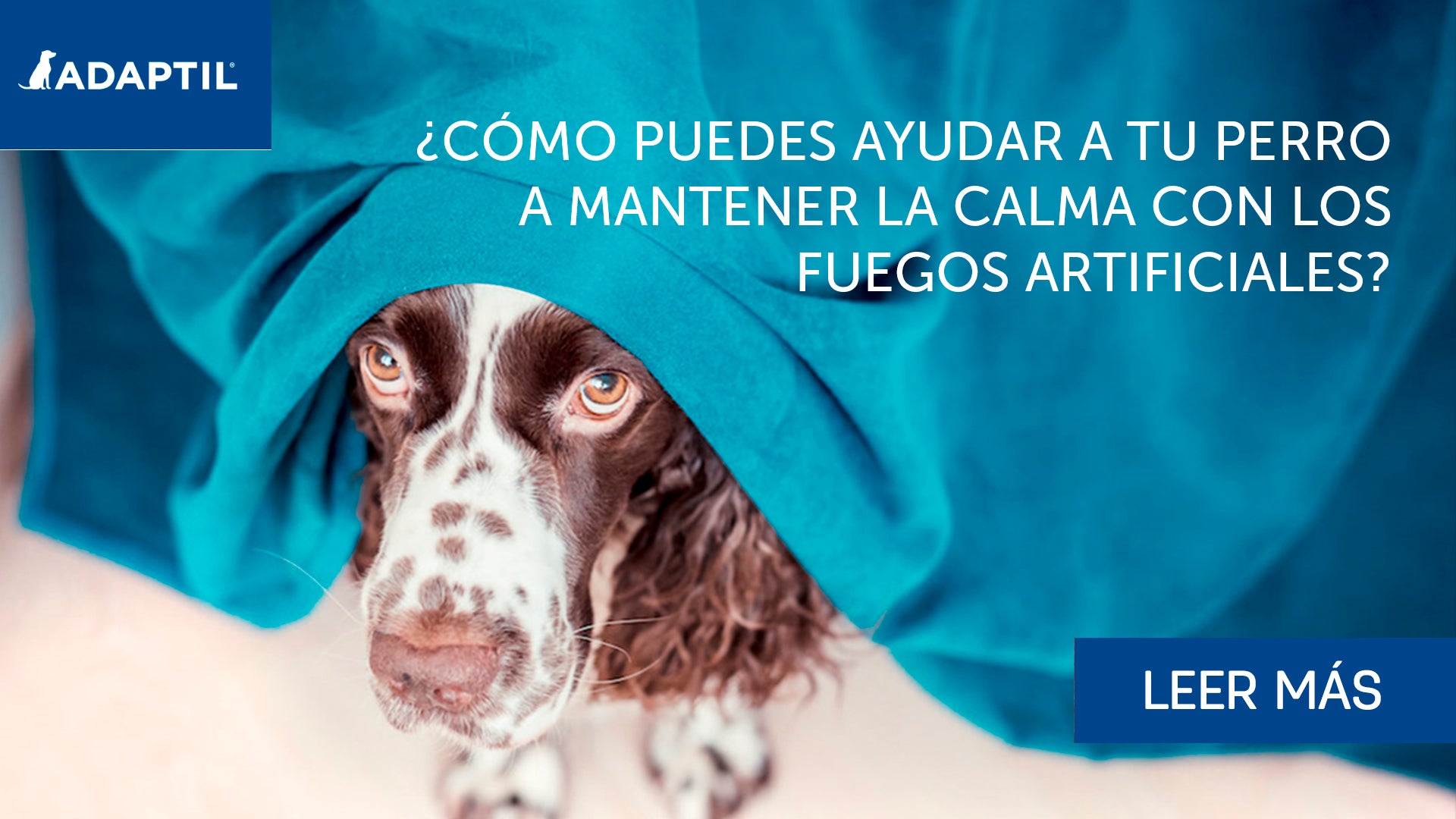 Fuegos artificiales ¿Cómo puedo ayudar a mi perro a mantener la calma?